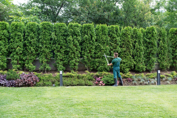 Mulching Services in Beaver Dam, WI